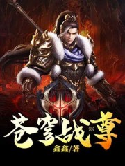 苍穹战尊全文免费看