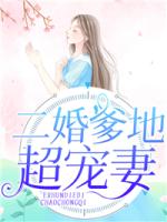 二婚爹地超宠妻